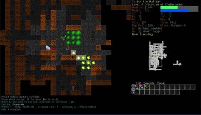 Dungeon Crawl Stone Soup v0.12.1 (2006 / Eng)